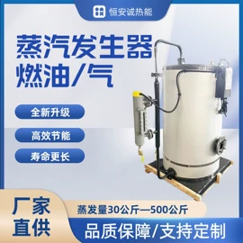 蒸汽发生器;燃气锅炉;电热锅炉