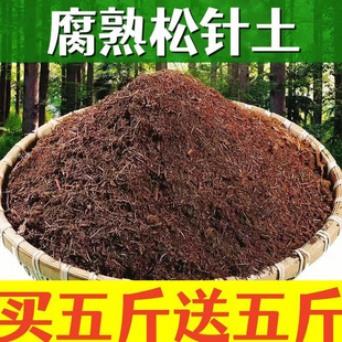 ��Ȼ��ᘸ�ֳ�����ԠI�B�������m�������m���N�{ݮ�軨��