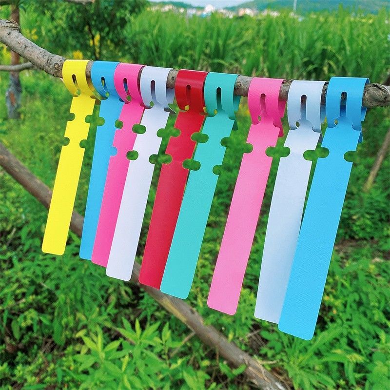 Garden Tags PVC flowers and plants Botany Plastic orchid Seedlings One piece On behalf of Manufactor wholesale