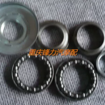 Pedal, bearing, sheep