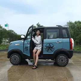 其他电动车;电动代步车;电动三轮车