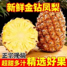 �����P��3/5/9�� ����������r�P�溣��ֱ�l Դ�^�a�� һ�����l��