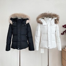 90白鸭绒收腰版羽绒服女冬季可拆卸染尖貉子毛领夹克外套