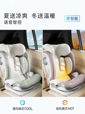 Safety Seat — Other Other vehicle seats