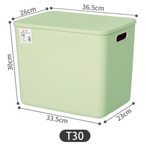 민트 그린 T30 (신색 출시)