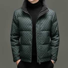 男士立领羽绒服冬季时尚短款防寒保暖上衣休闲外套轻奢潮流白鸭绒