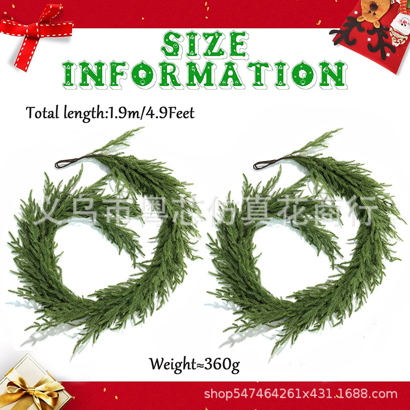 현재 1.8m 등나무