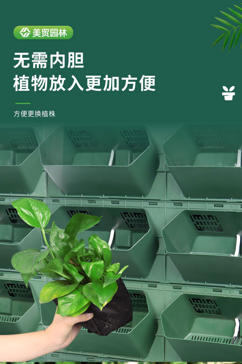 ֲ��ǽ��ֲ��