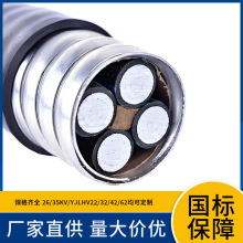 �S��YJLHV/YJLHV22�͟��o�u��ȼ�ͻ�䓎��z�b�X�Ͻ������|