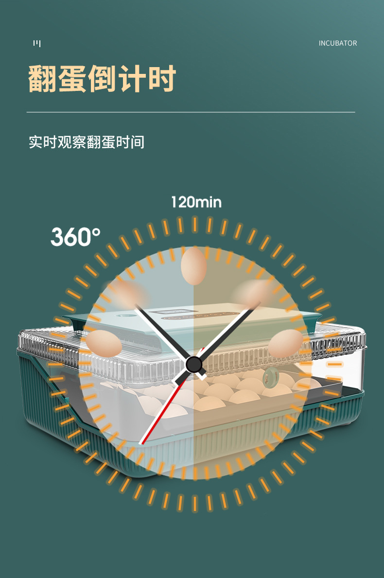 Title 13, Automatic Incubator for Poultry, Climbing, Pet ...