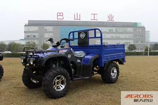 Arctic Tianzhong Shen 250 Water-Cooled Bashiang Agricultural Motorcycle with Bucket, Four-Wheel Orchard Transport Motorcycle, Atv