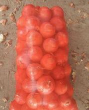 �b���׵ľ�������W��������ˮ���߲˾W�۴�͸��W���W���̖�W��