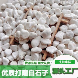 Milled Round White Pebbles Multi-Specification White Marble Pebbles Garden Courtyard Home Decoration Paving Fish Tank Landscaping White Small Stones