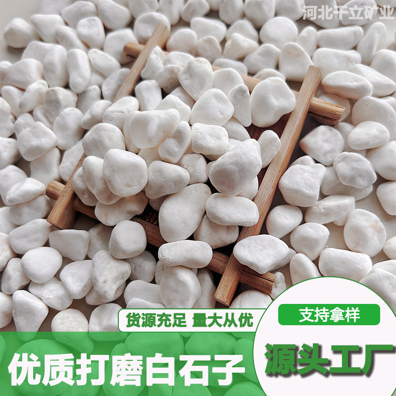 磨圆白石子多规格汉白玉鹅卵石园林庭院家装铺面鱼缸造景白小石头