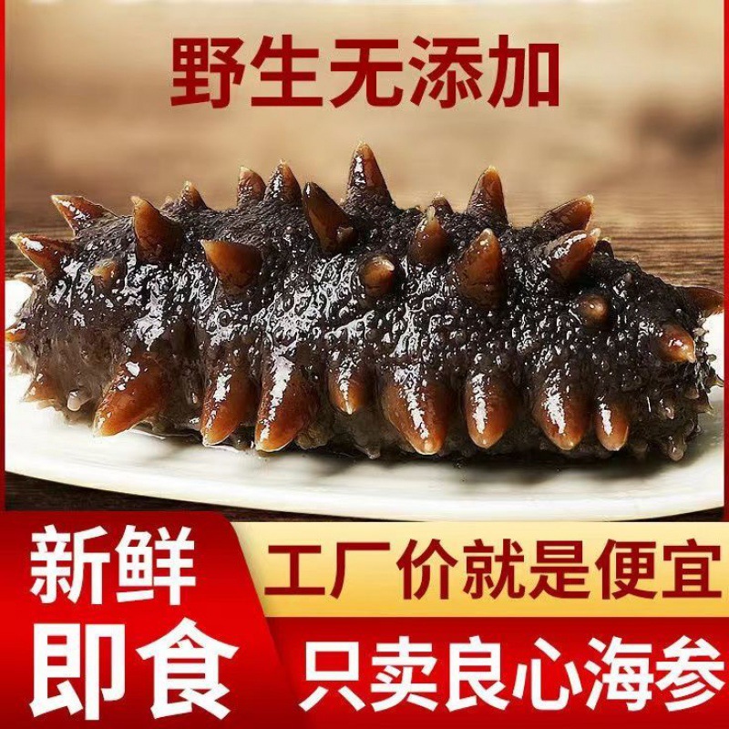 precooked and ready to be eaten sea cucumber wholesale Dalian Sea cucumber Dried sea cucumber Quick-freeze Independent packing Gift box packaging