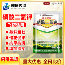 99%wmСˮݮ߲ͨô¶~