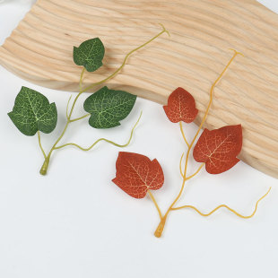 ����ڒ�����ֲ���������ع��~������ɽ���}�Q�b��DIY�������