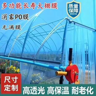 ���S���l��������Ĥ �Ӻ�͸�����ϲ� ��Ĥ�� �ⴰ�b�����w���겼