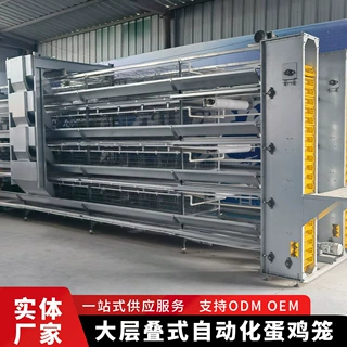 大层叠蛋鸡养殖笼养鸡笼镀锌蛋鸡笼层叠式机械自动清粪设备全自动