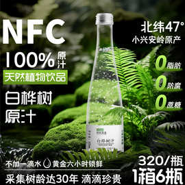 白桦树汁100%原汁天然原液320ml*6瓶整箱批发纯木本植物饮新鲜