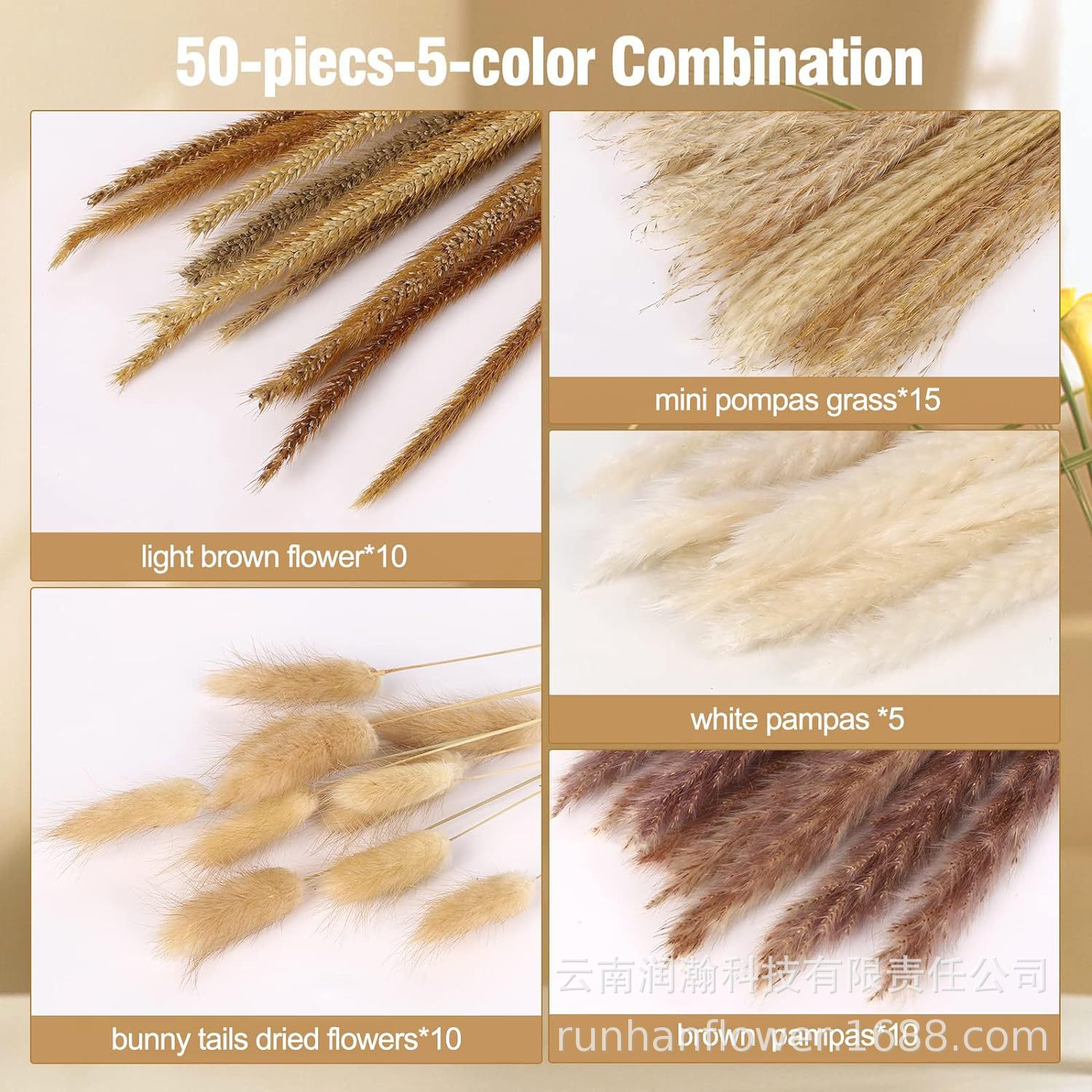 조합 50-(상자 제외)