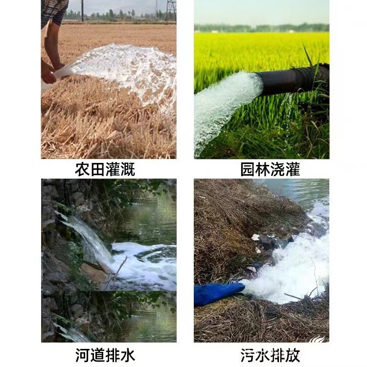 Pequeña bomba de agua agrícola bomba de corte bomba de aguas residuales bomba sumergible doméstica bomba de alta elevación 220V bomba de riego