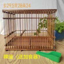 �������B��ϻ\���SȸϞ������ؐ���ֹ��L���B�\��ȫ�͹��B�\��\