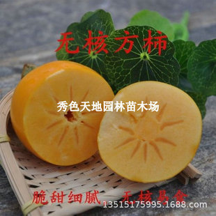 �޽��������� �o�˷�����o�����Ә��箔��Y���ϱ����Nֲ������