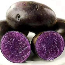 ��ɫ�������r���R����l�������ذ��F���������ڬF��ϸ�ԭ�]ȫ��