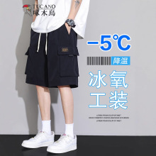 啄木鸟工装短裤男士夏季薄款新款运动马裤冰丝大码五分休闲大裤衩