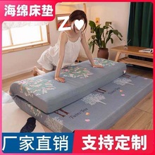 高密度海绵高密度高回弹床垫家用加厚1.5m单双人酒店榻榻米独立站