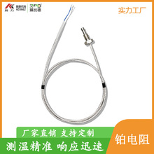 高品质PT100温度传感器 厂家定制各种尺寸铂电阻 带CEUL认证