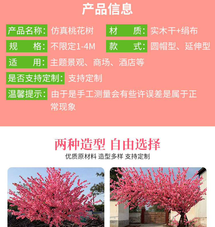 桃花树详情_02.jpg