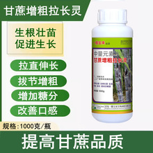甘蔗拉长增甜剂增糖膨大素甘蔗壮丰素防裂药增粗剂甘蔗专用叶面肥