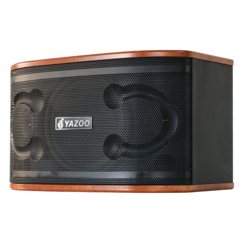 Al por mayor personalizado 8/10/12-pulgadas pasivo profesional titular de la tarjeta altavoz hogar al aire libre karaoke transmisión en vivo audio para el hogar traje