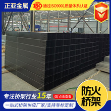 定制防火桥架抗压大跨距槽式镀锌电缆桥架防火喷塑室外不锈钢桥架