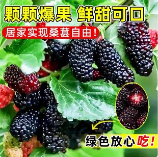 ɣ�ؘ����ɣ��o�Ѵ�ʮ̨���L��ɣ��ɣ����ռ��ɣ�����ļ��Y��