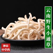云南野生中药材小通草500g精选特级无硫中草药产后月子下乳汁中药