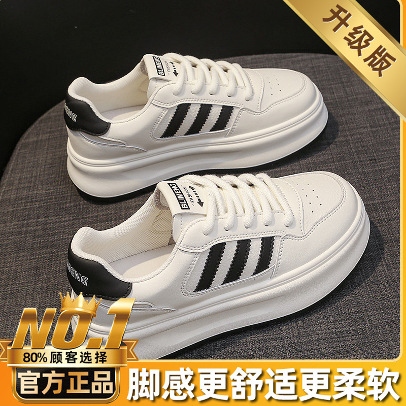 블랙 업그레이드 모델