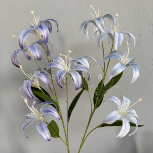 �¿�5�^��ٺϷ��滨3D��ӡ�ٺϻ���c��Y�廨�Ҿ��b���ٺ�