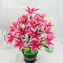 �ļ��_���҃��⻨�����԰ٺϷN����ˮ�ٺϻ��N�Ӻ��B�׻��ذ�