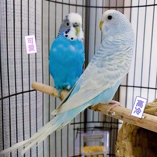 ���B�����B�W�^���B��\�ӻ�Ƥ�^�p�B���P�fԒ�B���]С�B������]