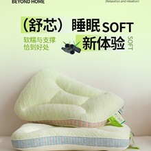 2025新品a类竹炭抗菌安睡SPA深睡记忆枕护颈枕高枕不塌枕头枕芯