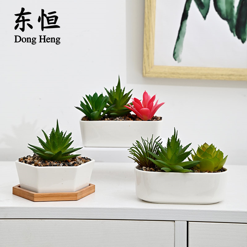 东恒 跨境新款迷你白瓷多肉小花盆长方花盆 简约多肉盆栽白瓷盆