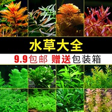 �G��ˮ�ݻ��w�~�׾��^����Ȼ�쾰�b�ֲ���ļ���ˮ��ˮ���~����]