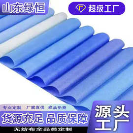 无纺布蓝色yi用PP无纺布成卷聚丙烯纺粘丙纶不织布无纺布家用商用