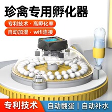 �w���J���uСȫ�B���Ԅӷ����C���������W�^������С�ͼ��É�����