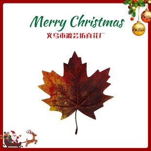 �S�����l�����~�zӡ�~����f�}�S�չ��＾���~���F��������~�~Ƭ