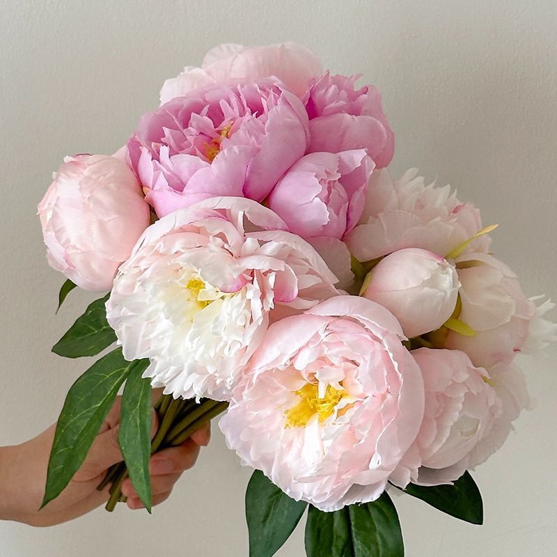 Flores de peonía de alta calidad flores de imitación de mano sala de estar dormitorio mesa de comedor flores de peonía imitación flores falsas accesorios de fotografía