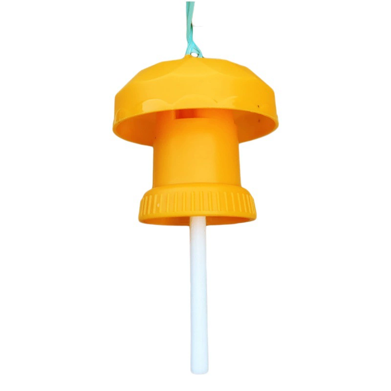 Ловушка для плодовой мухи хиджаб плодовая муха игла пчелиная ловушка соблазняет лекарственное средство для фруктовых деревьев летающих насекомых ловушки оптом